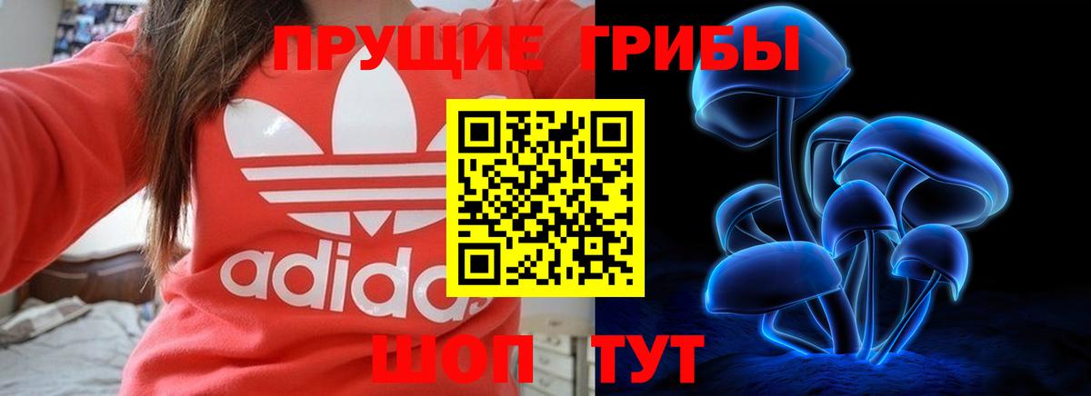 Галлюциногенные грибы мицелий Черкесск