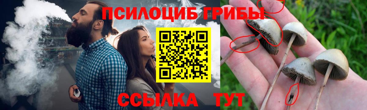 купить наркотики цена  Вход с VPN  Черкесск  Галлюциногенные грибы Magic Shrooms 